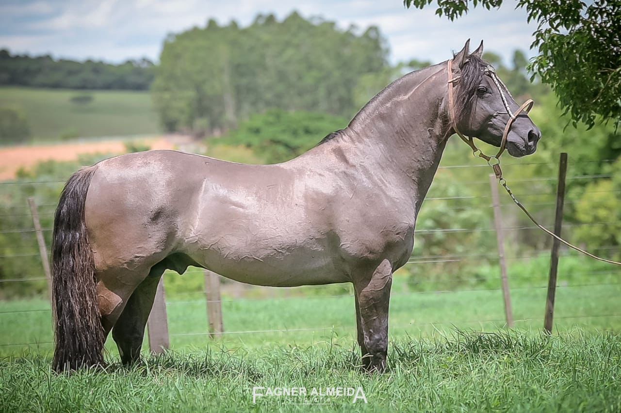 Sábado en el Boliche